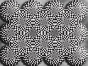 optical illusion 6(grey snakes)