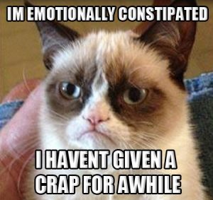 Grumpy Cat EMOTINOALLY CONSTIPATED