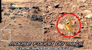 mouse found on mars meme