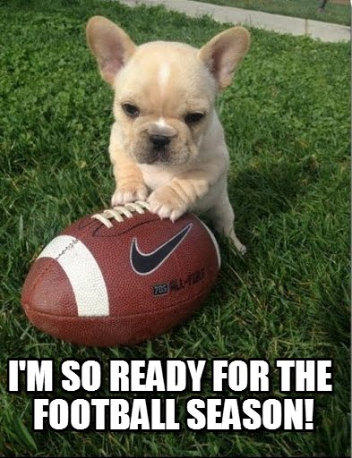football meme 001 dog ready for season