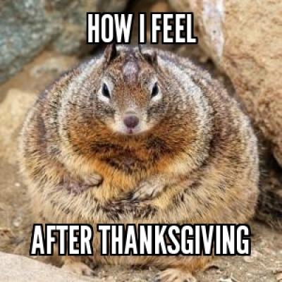 thanksgiving meme 001 how i feel after thanksgiving