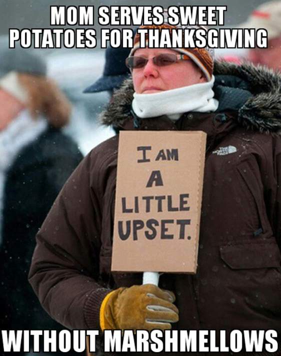 thanksgiving meme 002 sweet potatoes no marshmellows