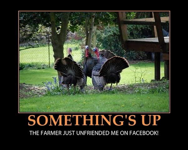 thanksgiving meme 017 farmer unfriended turkey