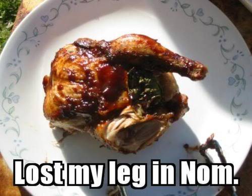 thanksgiving meme 018 lost leg in nom