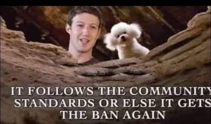 Being-banned-on-facebook-memes-it-follows-the-community ...