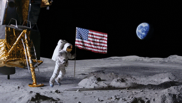 Murica America animated gif