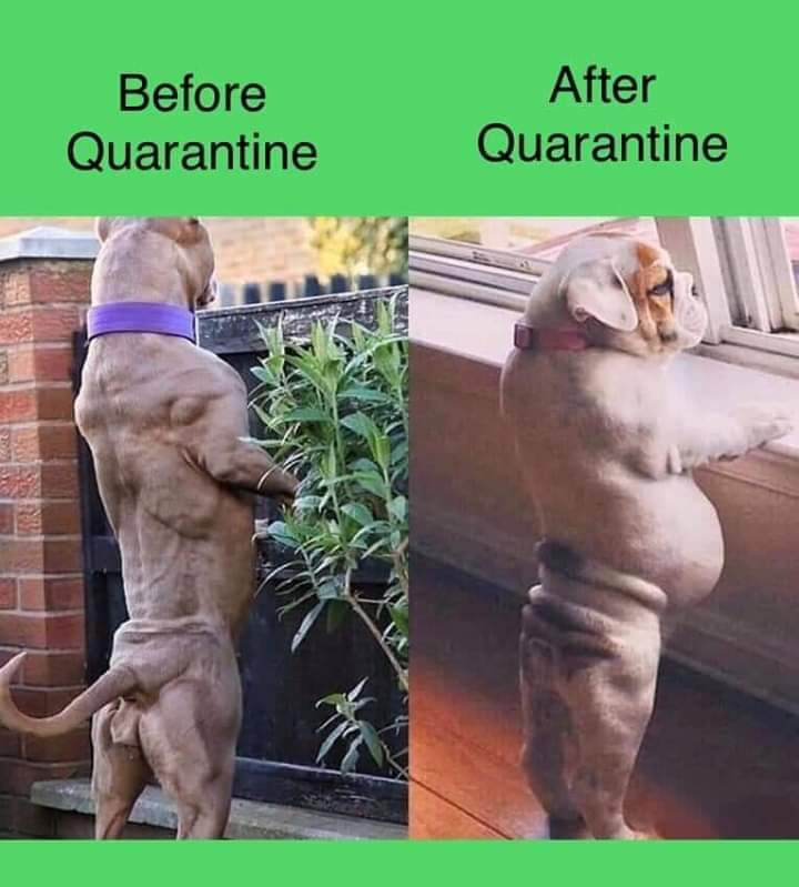 Quarantine-memes-001-before-and-after – Comics And Memes
