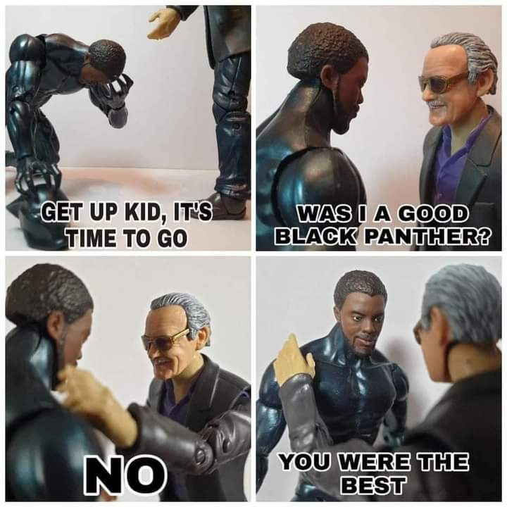 Stan-lee-was-I-a-good-black-panther-were-the-best - Comics And Memes