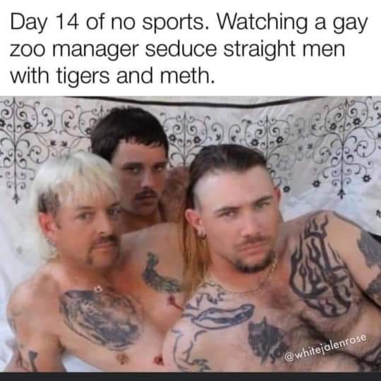 Tiger-King-meme-004-no-sports-gay-zoo-meth.jpg