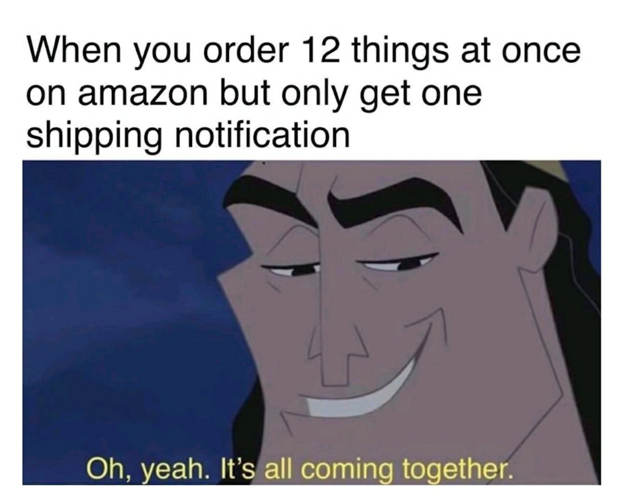 amazon-meme-004-when-you-order-12-things-at-once-but-only ...
