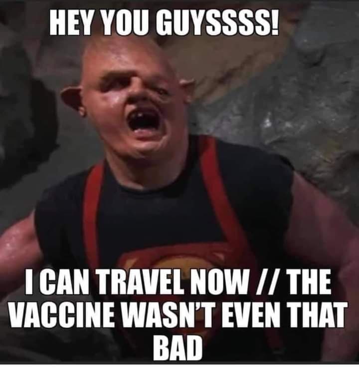 covid-19-vaccine-sloth-goonies-vaccine-bad.jpg