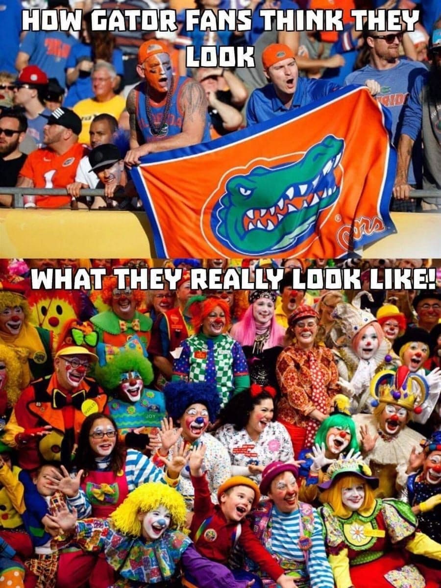 Florida-gators-football-meme-how-gator-fans-think-they-look-what-they ...