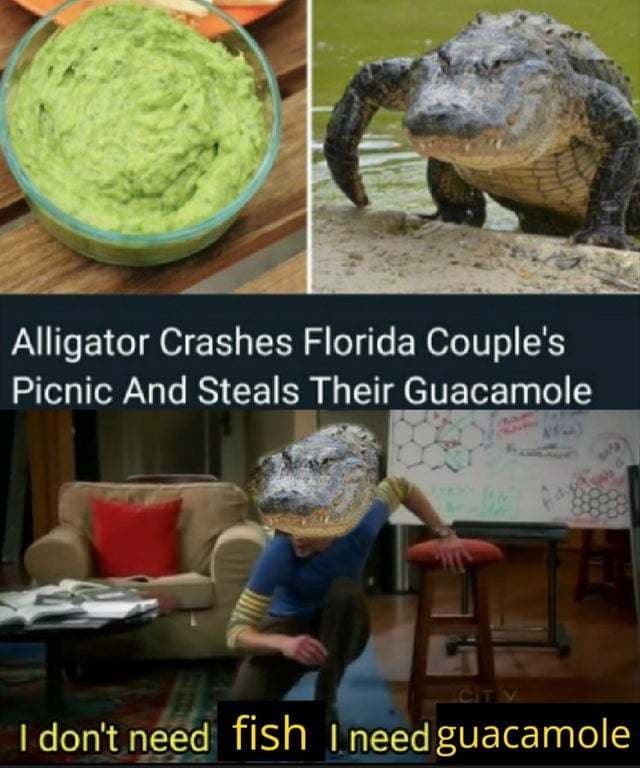 Florida-meme-alligator-crashes-florida-couples-picnic-and-steals-their 