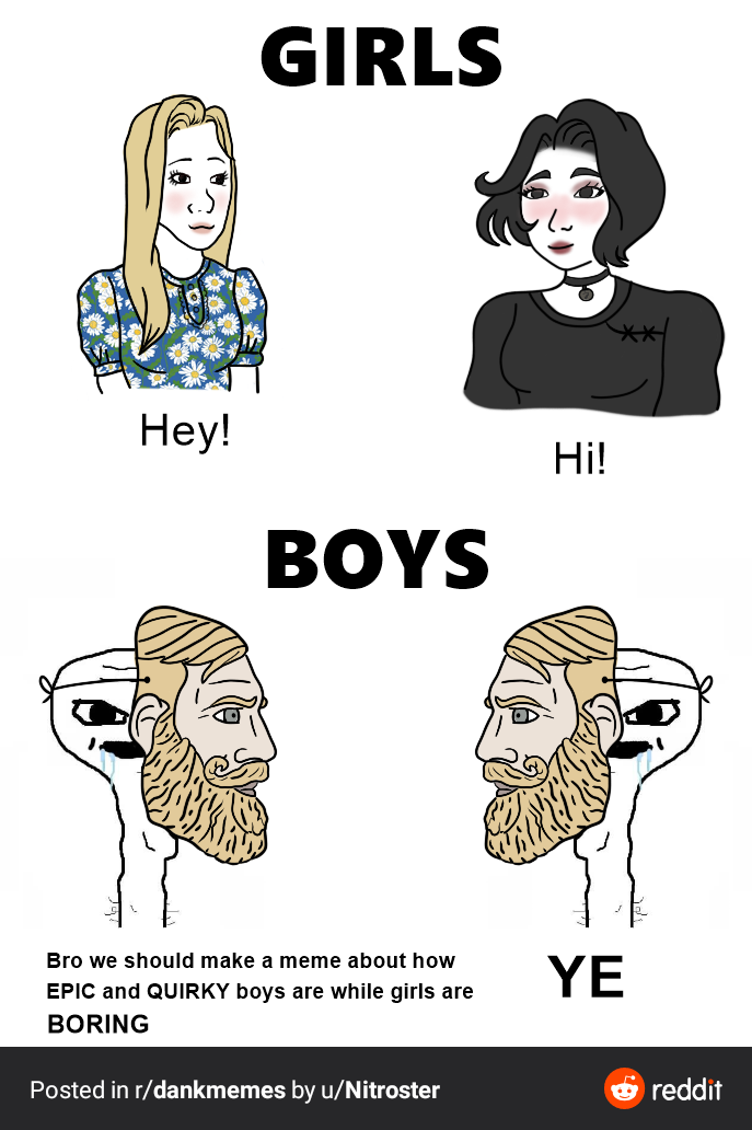 Girls Vs Boys Meme Girls Hey Hi Boys Bro We Should Make A Meme About How Epic And Quirky Boys Are While Girls Are Boring Ye Comics And Memes