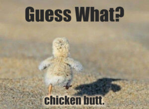 Guess What Chicken Butt Meme – Comics And Memes