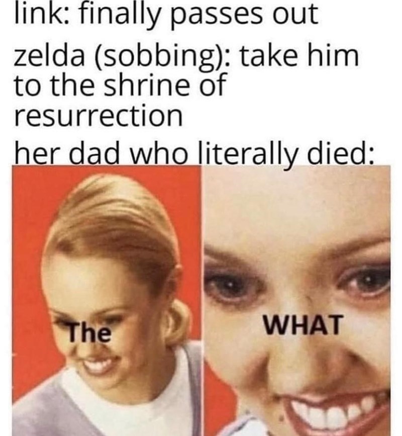 Legend Of Zelda Meme 006 Link Passes Out Zelda Take Him To The Shrine Of Ressurection Her Dad Who Is Dead The What Comics And Memes