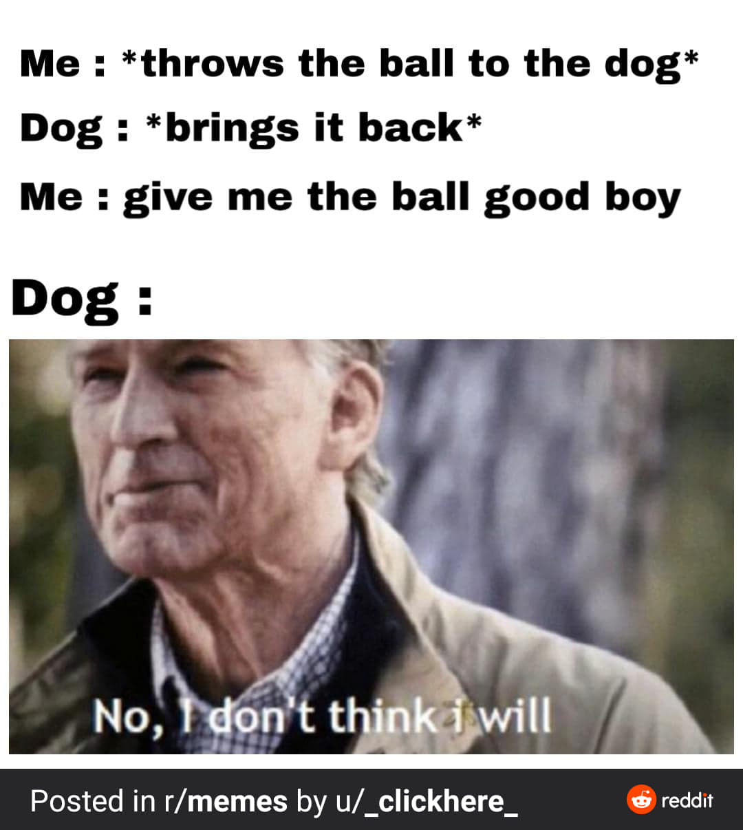 Throws The Ball To The Dog Brings It Back Give Me The Ball Good Boy No I Dont Think I Will Comics And Memes